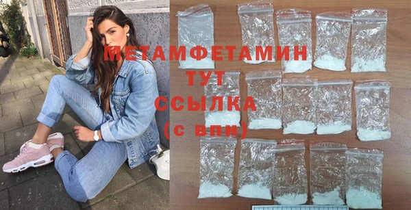 гидра Богородицк