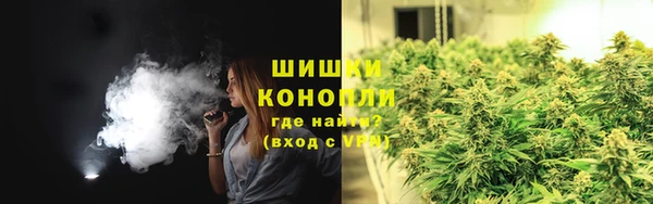 индика Богданович