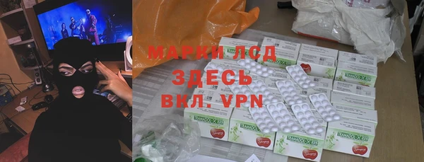 индика Богданович