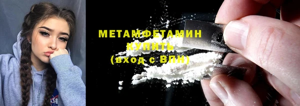 индика Богданович