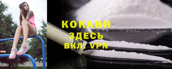 индика Богданович