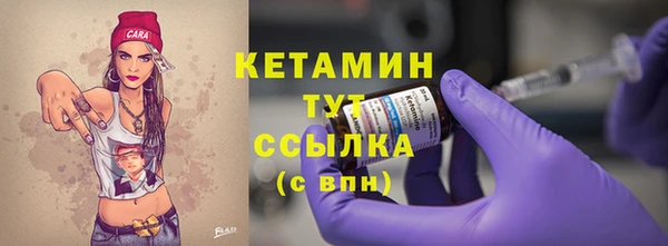 гидра Богородицк