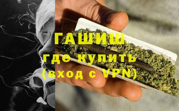 гидра Богородицк