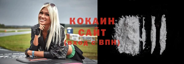 индика Богданович
