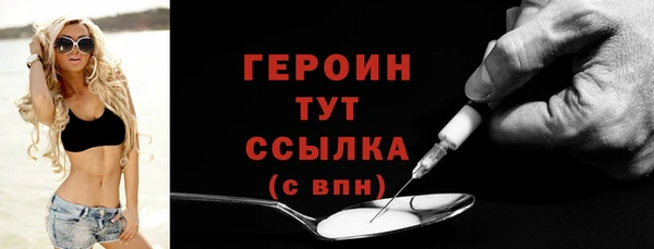 гидра Богородицк
