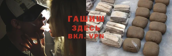 гидра Богородицк
