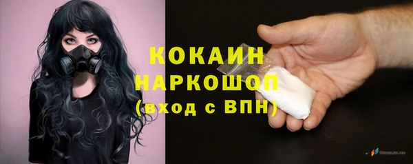 индика Богданович