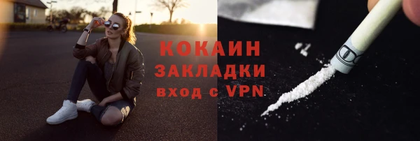 гидра Богородицк