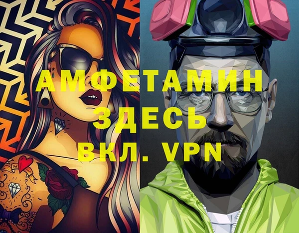 индика Богданович