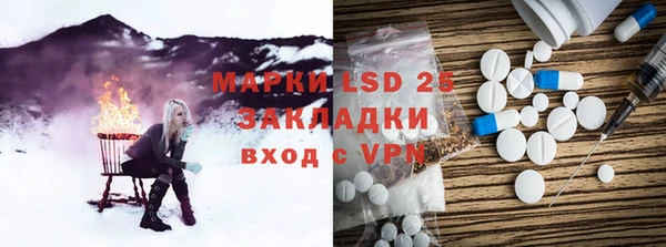 индика Богданович