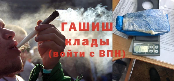 индика Богданович
