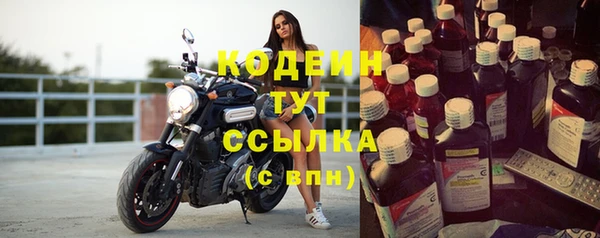 индика Богданович