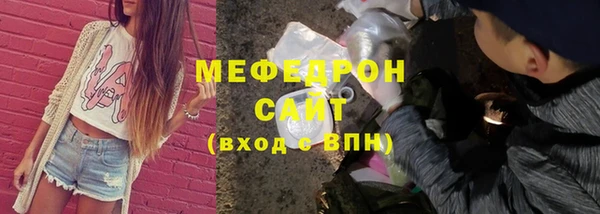 гидра Богородицк